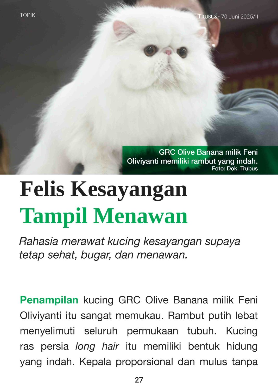 ! Emags Trubus Edisi JUNI 70 Topik 3