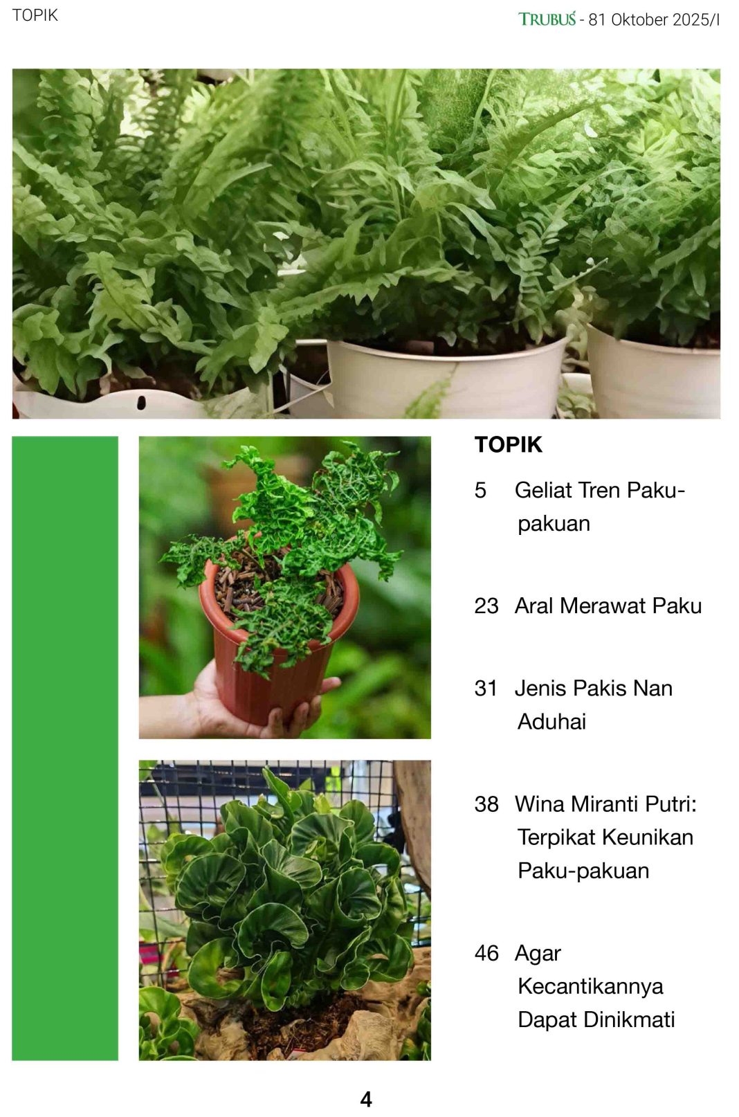 Geliat Tren Paku - Pakuan