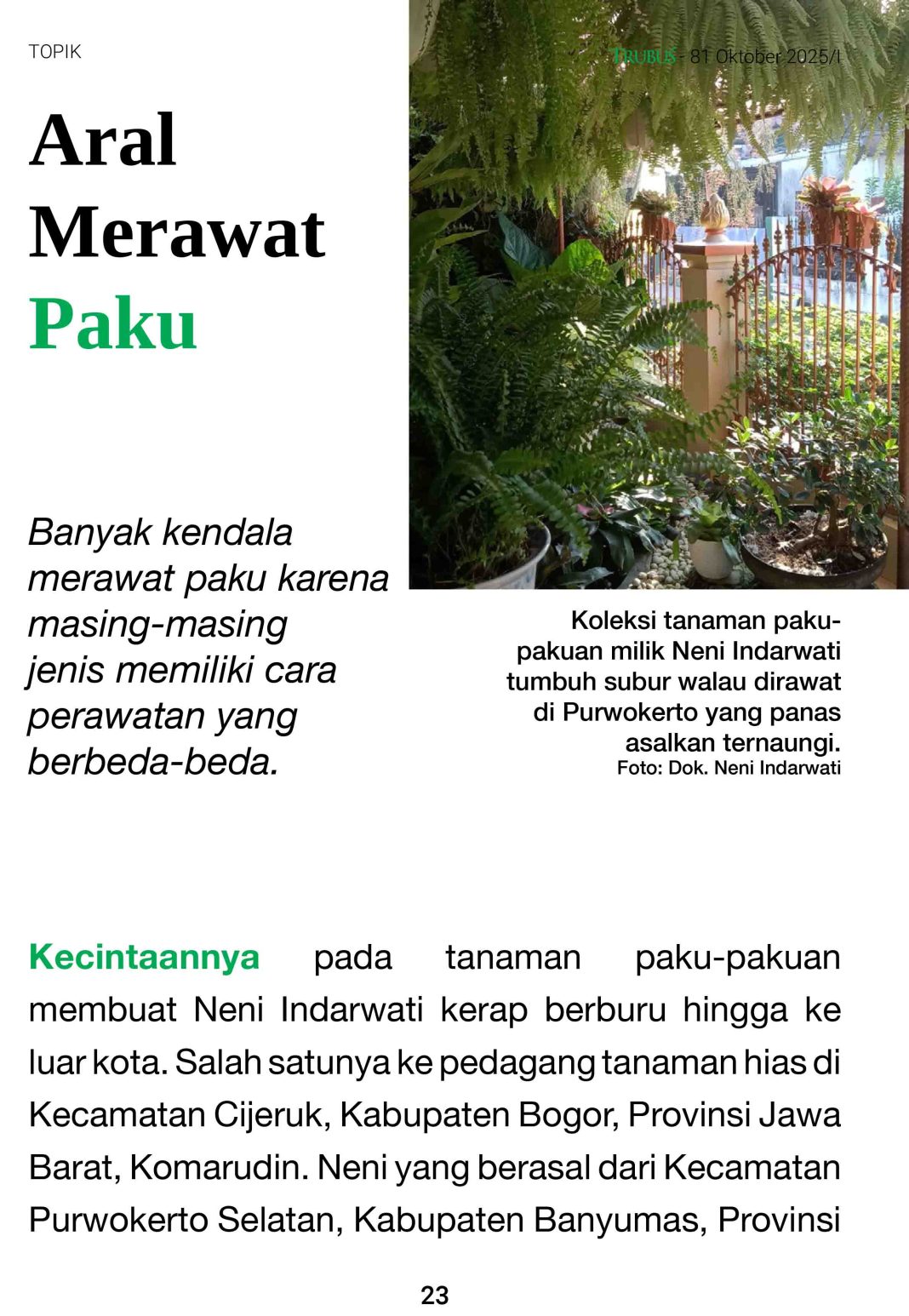 Geliat Tren Paku - Pakuan