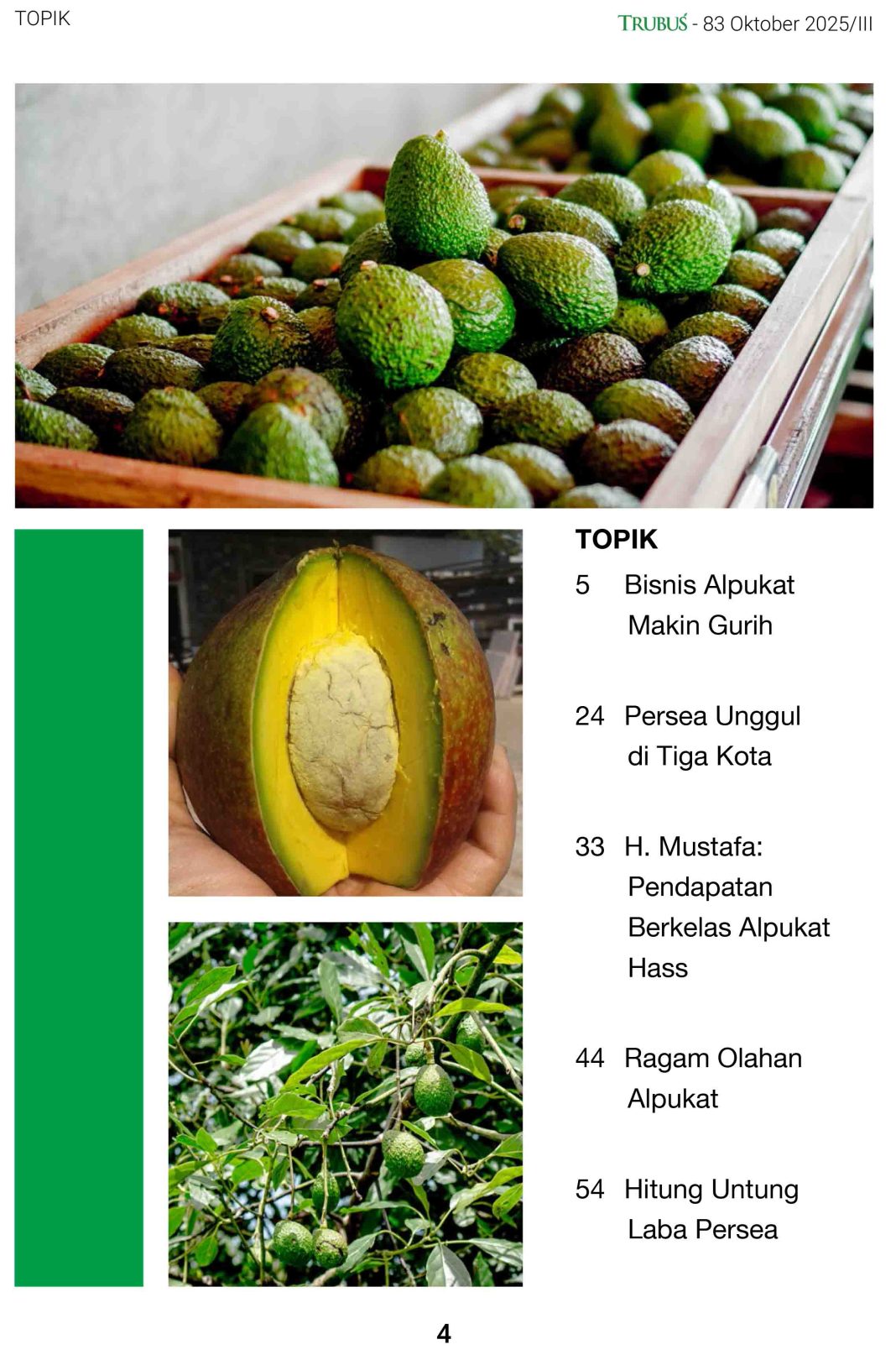 Bisnis Alpukat Makin Gurih