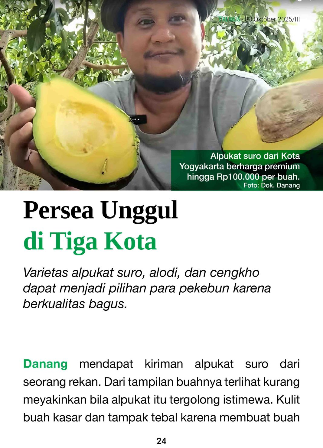 Bisnis Alpukat Makin Gurih